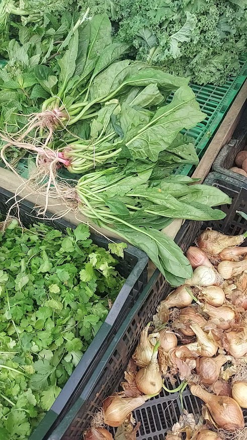 Vegetales frescos de Feria Verde
